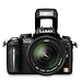 Panasonic Lumix DMC-GH2KEB-K Digital Camera with 14-42mm Lens Kit - Black