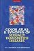 Color Atlas and Synopsis of Sexually Transmitted Diseases