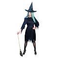 Hexen-Kost�m Halloween f�r Damen