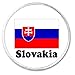 Slovakia Flag 3