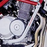 ゴールドメダル:エンジンガード スタンダードタイプ バフ仕上