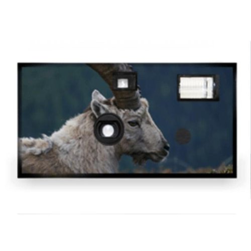 Animal Disposable Camera Case Pack 20