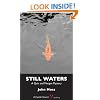 Still Waters: A Quin and Morgan Mystery
