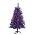Cashmere Tree Purple