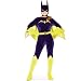 Search : Gotham Girls DC Comics Batgirl Adult