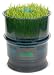 Freshlife Automatic Sprouter - Grow Fresh Healthy Salad Sprouts in Your Kitchen All Year Long. Sprout Alfalfa, Buckwheat, Clover, Green Lentil, Red Lentil, Radish, Brocolli, Mung Bean, & More - Fresh Life.