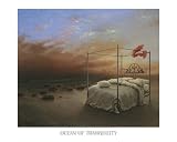Ocean of Tranquility by Samy Charnine. Size 20.00 X 24.00 Art Poster Print