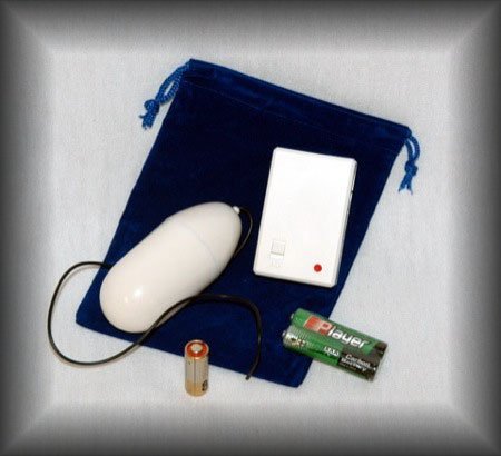 Remote Control Wireless BLUE Pouch 2 inch Power Egg Ivory Style Spot Massager
