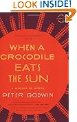 When a Crocodile Eats the Sun