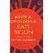 When a Crocodile Eats the Sun: A Memoir of Africa