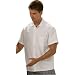 Dickies Economy Kitchen Shirt