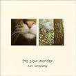 The Slow Wonder