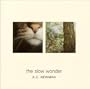 Slow Wonder