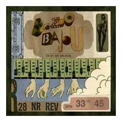 Dust My Broom [Vinyl LP]