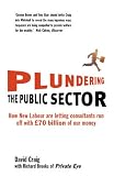 Plundering the Public Sector