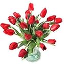 20 Premium Red Fresh Tulips
