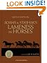 Adams and Stashak's Lameness in Horses