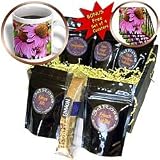 WhiteOak Photography Floral Prints - A bee on a purple coneflower - Coffee Gift Baskets - Coffee Gift Basket