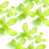 umbra Wallflower�@�A���u�� �E�H�[���t�����[�@�L�E�C