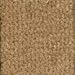 Nature's Carpet Elymus II