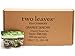 Two Leaves Tea Company Organic Sencha Green Tea, 100-Count