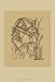 Orchid on Khaki(WG) I, Art Poster by Samuel Curtis