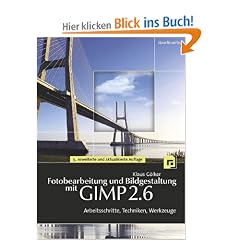 Fotobearbeitung und Bildgestaltung mit GIMP 2.6: Arbeitsschritte, Techniken, Werkzeuge (mit DVD)