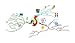 Buzan's iMindMap���ܸ��ǥ���������ɡ����ǥ������