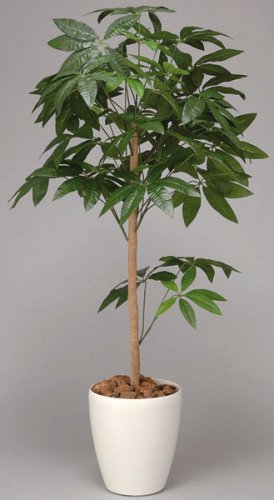 光触媒アートフラワー　パキラトピアリーＡ４５０８－２００　