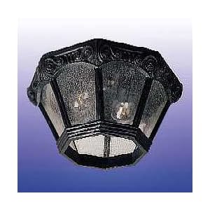 Maxim Lighting 30263CDOB - Essex 2 Light Outdoor Ceiling Mount - 30263CDOB by Maxim Lighting