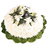 Review Flowers Direct  / A beautiful elegant posy pad arrangement - Send Funeral Tribute of Fresh Flowers