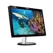 Lenovo L2060 - LCD display - TFT - 20 - widescreen - 1600 x 900 / 75 Hz - 250 cd/m2 - 1000:1 - 5 ms - 0.277 mm - DVI-D, VGA - high-gloss black