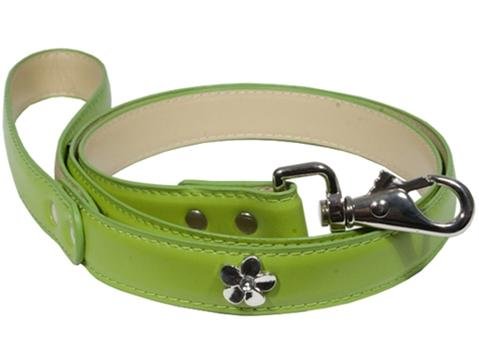 Designer Dog Leash - Leather Leash with Flower Studs - Green - Four Feet Long