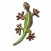 Gecko in shades of Green from Golden Pond, Small