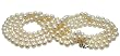 AAA 7.5-8mm White Freshwater Pearl Necklace 64in Rope
