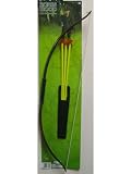 Robin Hood Bow and Arrow Set Accessory