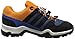 adidas Outdoor Terrex Hiking Shoe (Little Kid/Big Kid)