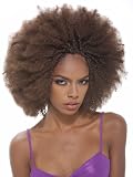 Janet Collection Afro Kinky Bulk 24"