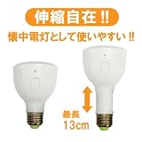 ラブロス Magic Bulb バッテリー内臓 LED電球 (外せば懐中電灯に早変わり! ・E26口金・一般電球形・白熱電球40W相当・240ルーメン・昼白色相当) MB4W-B