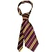 Harry Potter Gryffindor Tie