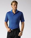Polo Ralph Lauren Short Sleeve Stripe Performance Golf Polo
