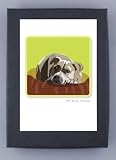 Paper Russells PAGNC740 Grrreen Single Notecards -Pit Bull Terrier Head down