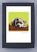 Paper Russells PAGBC719 Grrreen Boxed Note Cards -Pit Bull Terrier Head down