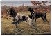 Pet Mat - 18.0 x 27.0 - German Short Haired Pointer.