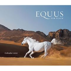 Equus 2010 Wall Calendar 2010