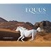 Equus 2010 Wall Calendar 2010