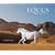 Equus 2010 Wall Calendar 2010