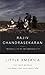 Little America: The War Within the War for Afghanistan