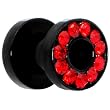 4 Gauge Black Anodized Titanium Red Gem Screw Fit Tunnel