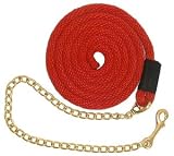 Heavy Duty Nylon Lead with Chain